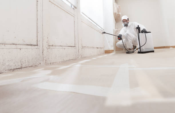 24/7 Emergency Mold Remediation experts in Allentown, NJ