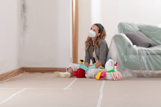 Reliable Mold Remediation contractor in Allentown, NJ by WQB Mold Removal
